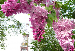 09-0512-1.jpg (2).jpg